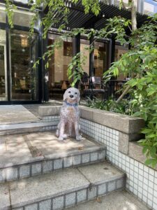 神戸ベイシェラトンホテルガーデンカフェ入り口の犬