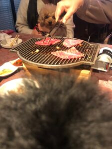 焼肉ポンガ目黒本店