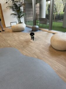 ゆるり熱海 with dogs