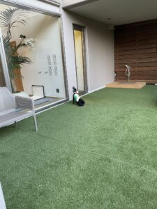 ゆるり熱海 with dogs