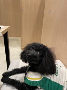 ゆるり熱海 with dogs
