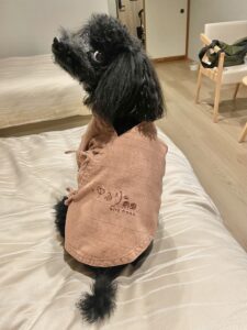 ゆるり熱海 with dogs
