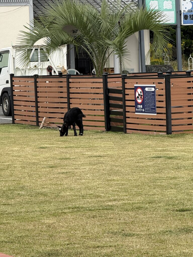 ドゥカーレ九十九里　中庭