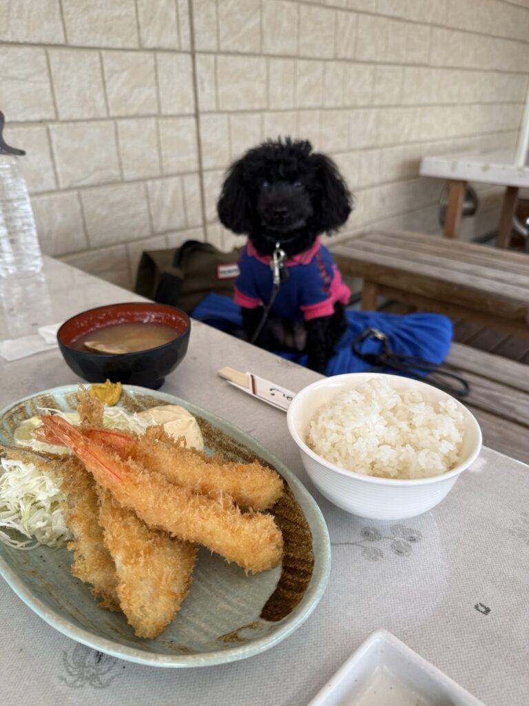 九十九里えびせい