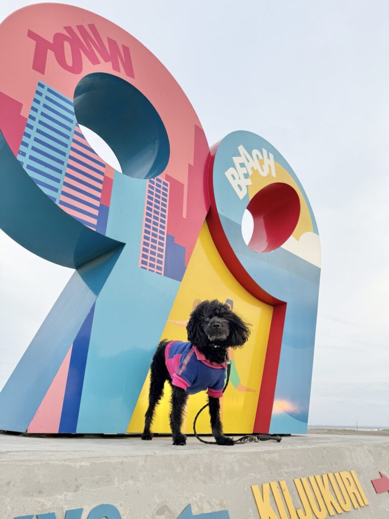 九十九里片貝海岸