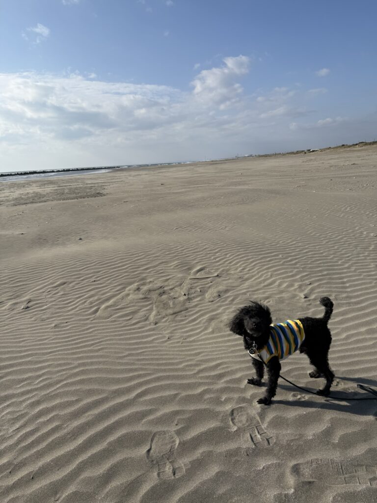 九十九里片貝海岸