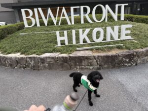 ビワフロント彦根の看板と吉右衛門