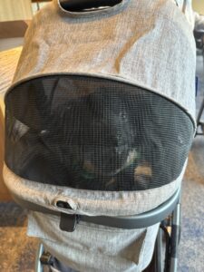 カートで移動する吉右衛門