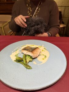 クラージュ麻布十番ペット可