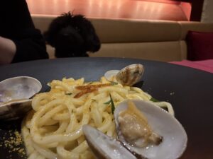 クラージュ麻布十番ペット可