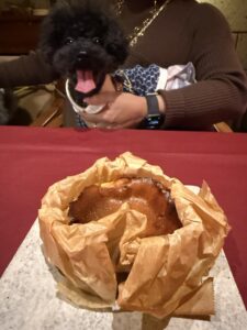 クラージュ麻布十番ペット可
