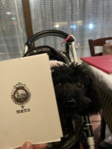 ジョコンド　イタリアン　ペット可